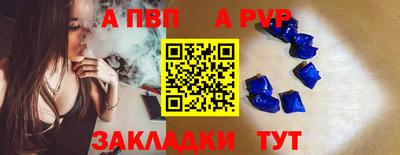 шишки Аргун