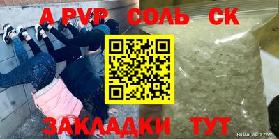 шишки Аргун