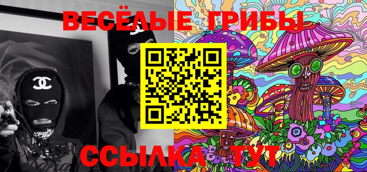 Галлюциногенные грибы прущие грибы Всеволожск